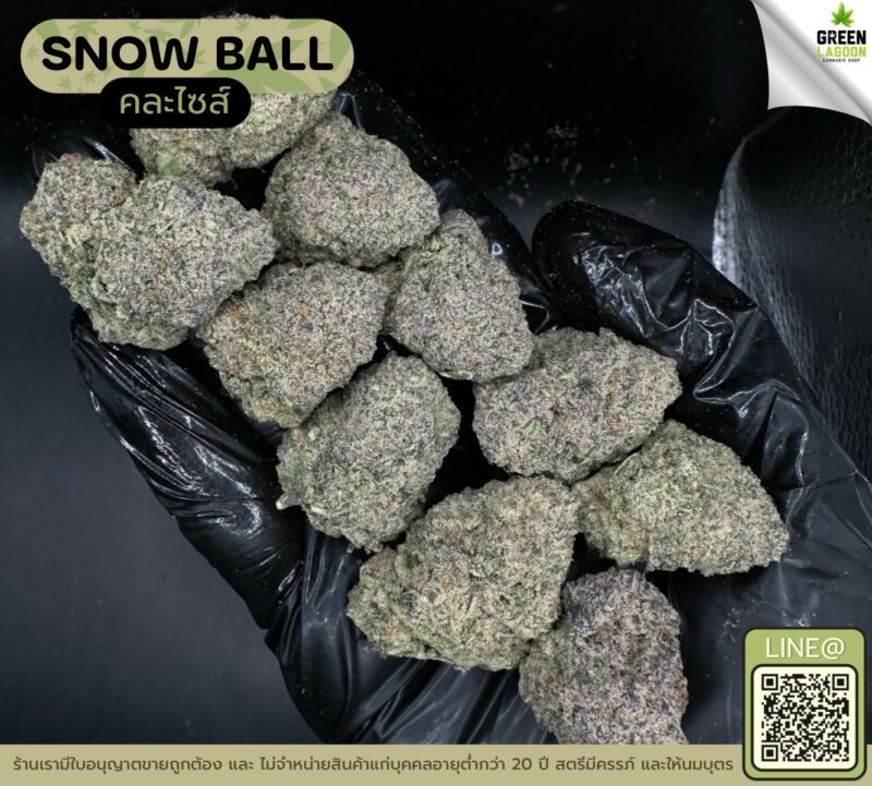Snow ball