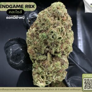 Endgame RBX (GACP)