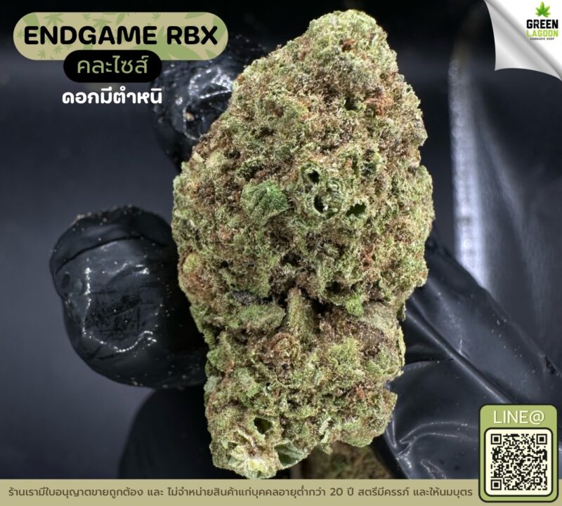 Endgame RBX (GACP)