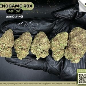 Endgame RBX (GACP)