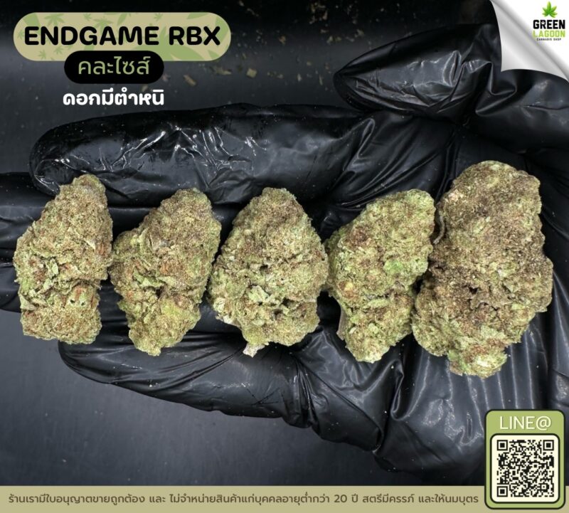 Endgame RBX (GACP)