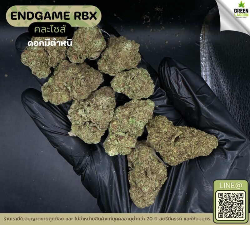 Endgame RBX (GACP)