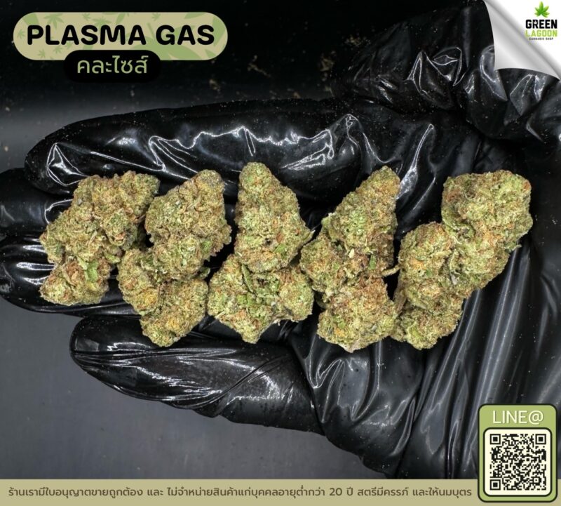 Plasma gas