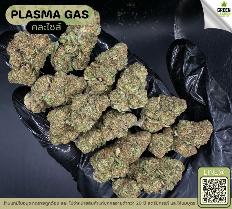 Plasma gas