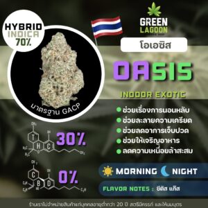 Oasis (GACP)