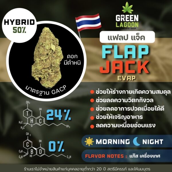 Flap jack (GACP)