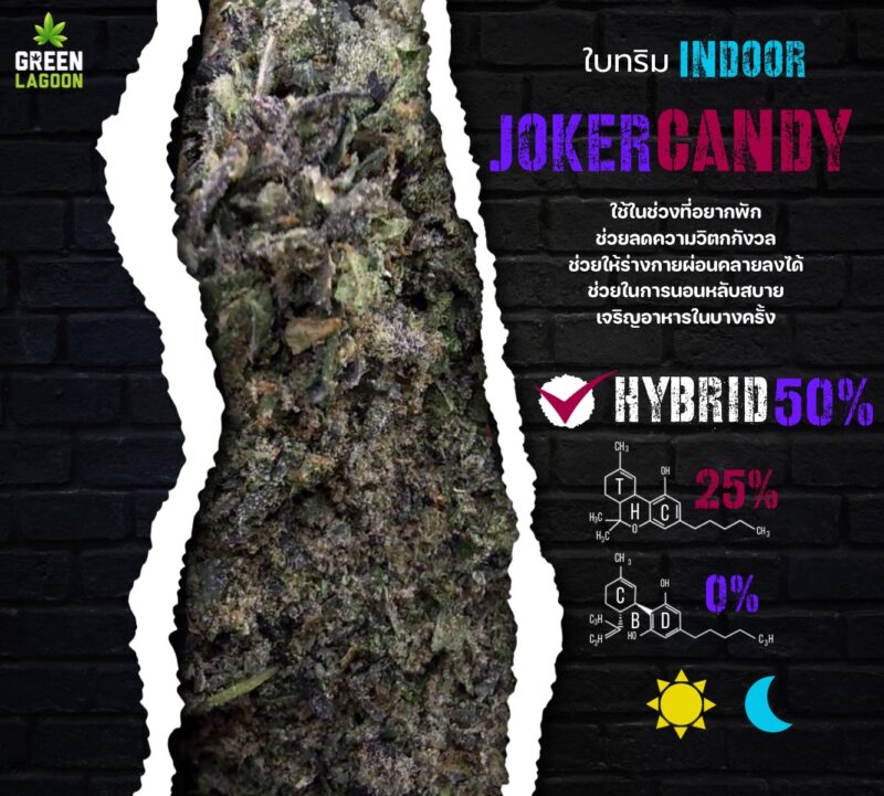 ใบทริม Joker candy (indoor-exotic)