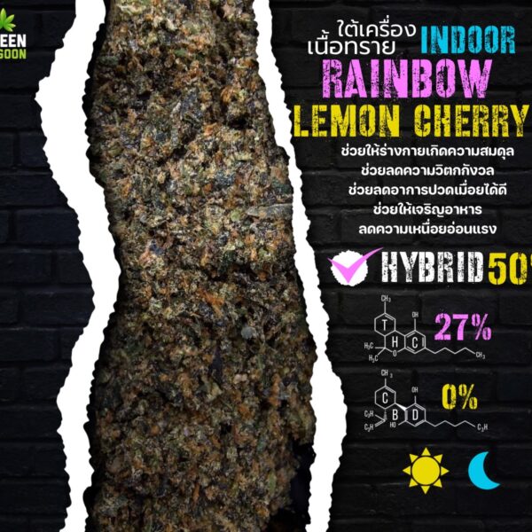 Rainbow lemon cherry (ใต้เครื่องเนื้อทราย Indoor)