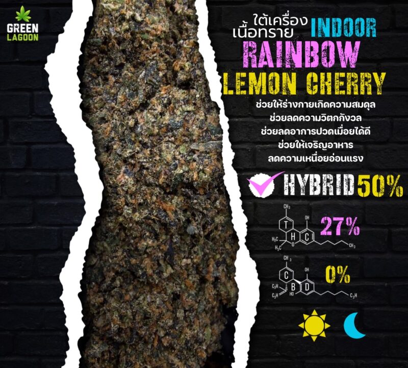 Rainbow lemon cherry (ใต้เครื่องเนื้อทราย Indoor)