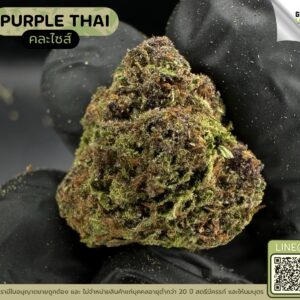 Purple thai