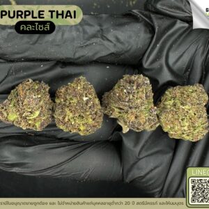 Purple thai
