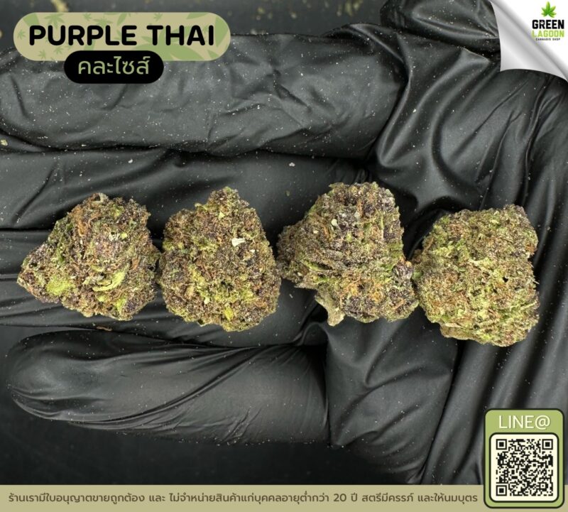 Purple thai