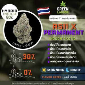 RS11 X Permanent