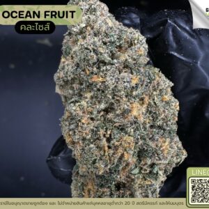 Ocean fruit