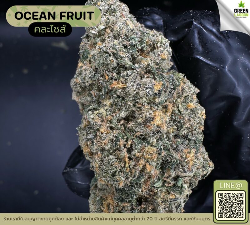 Ocean fruit