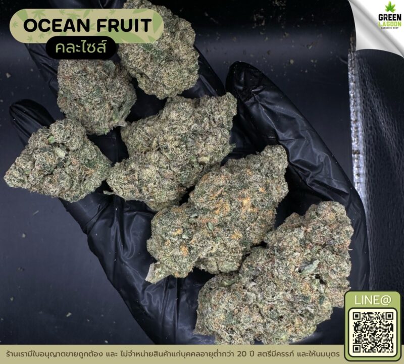 Ocean fruit