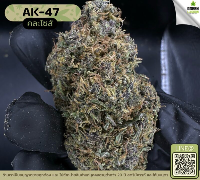 AK-47