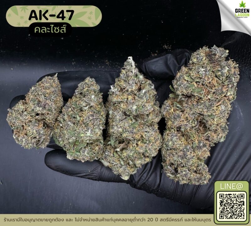 AK-47