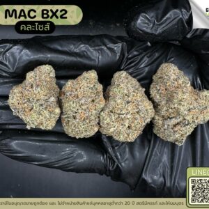 Mac BX2