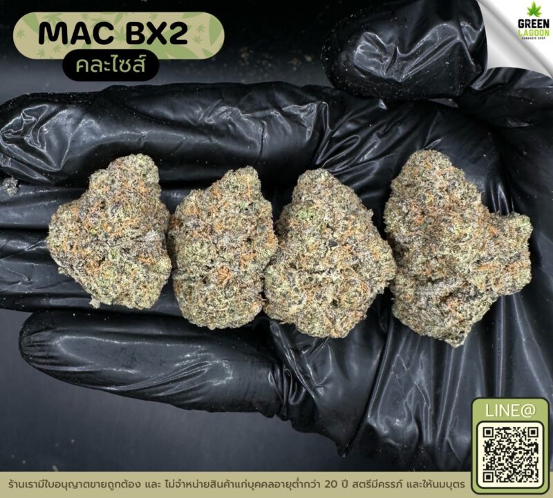 Mac BX2