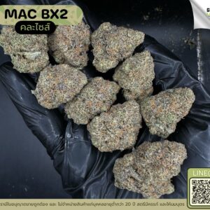 Mac BX2