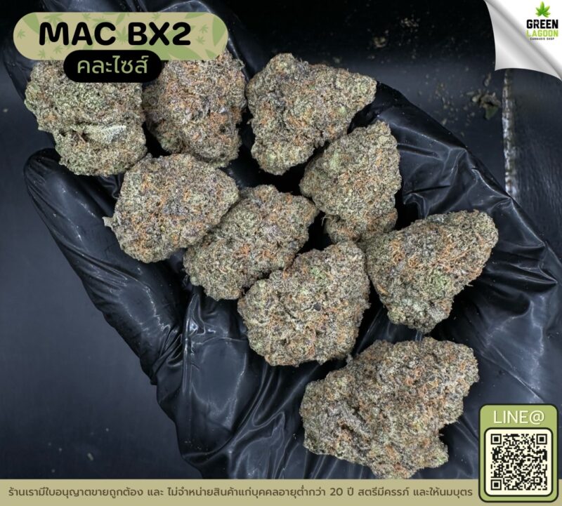 Mac BX2