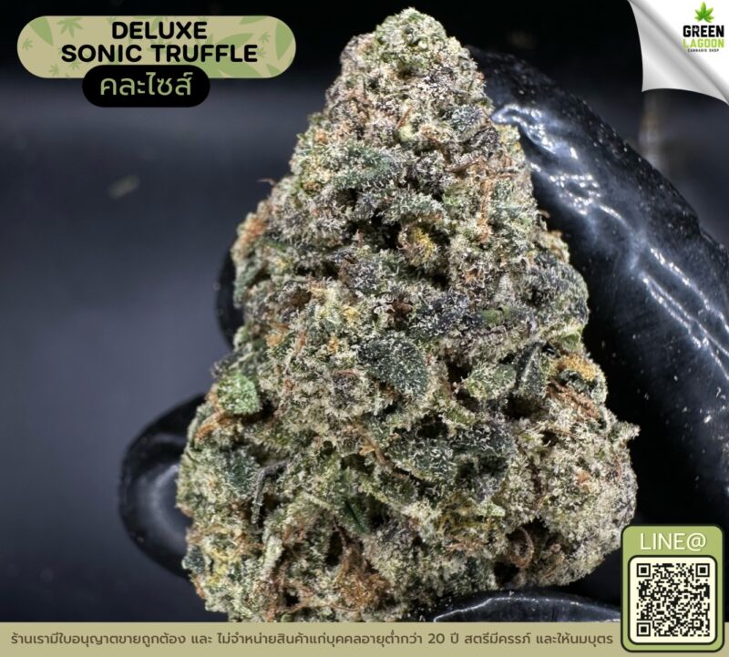 deluxe sonic truffle