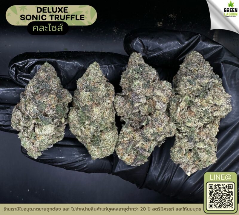 deluxe sonic truffle