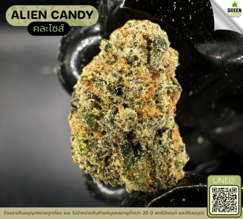 Alien candy