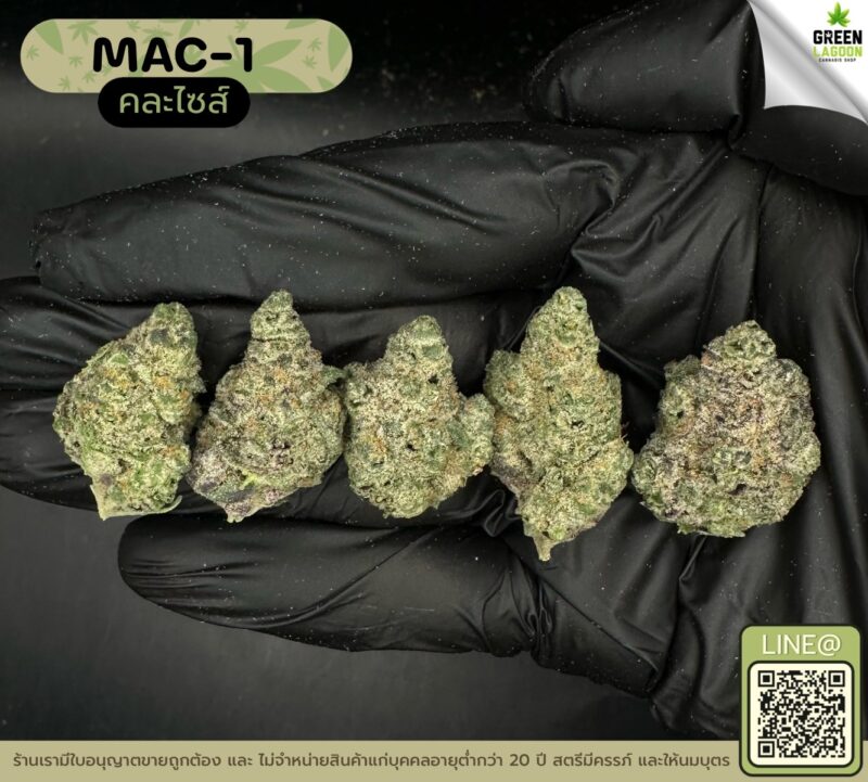 MAC-1