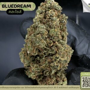 Blue dream