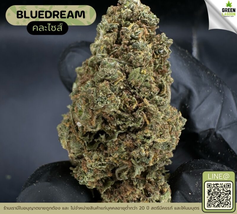 Blue dream