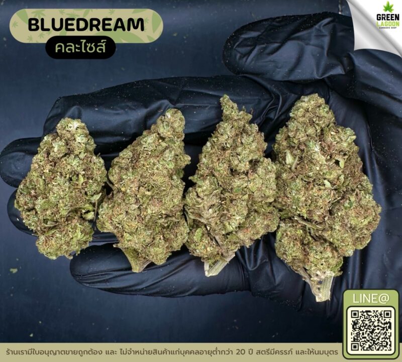 Blue dream